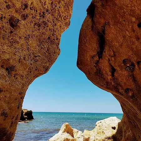 Alegria Βίλα *